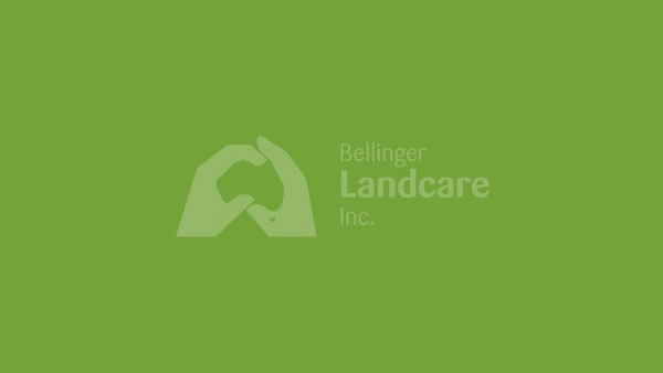 Upper Bellinger River Aquatic and Terrestrial Habitat Connections Project Completed!